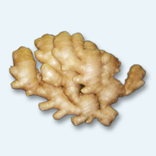 DRY GINGER