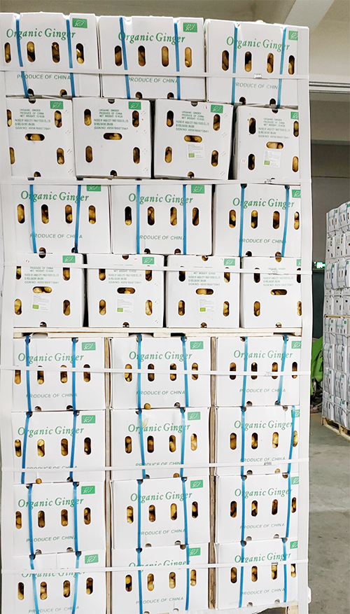 PVC box packaging